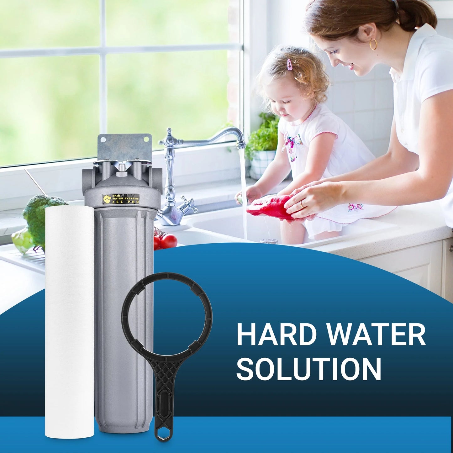 CBS PPH Salt-Free Anti-Scale Whole House System